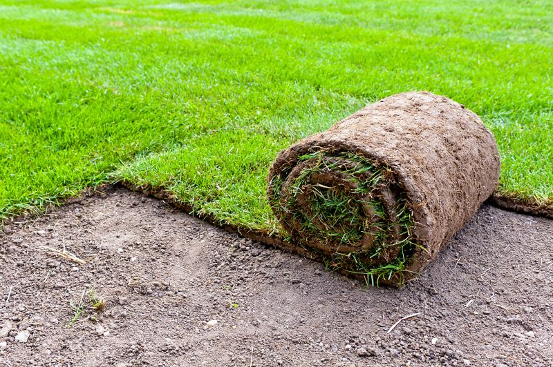 Bentgrass Sod Installation