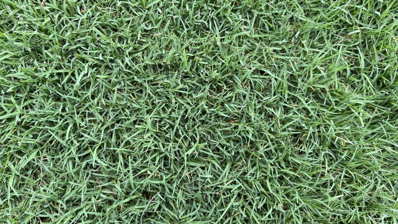 Bermuda Grass Installation