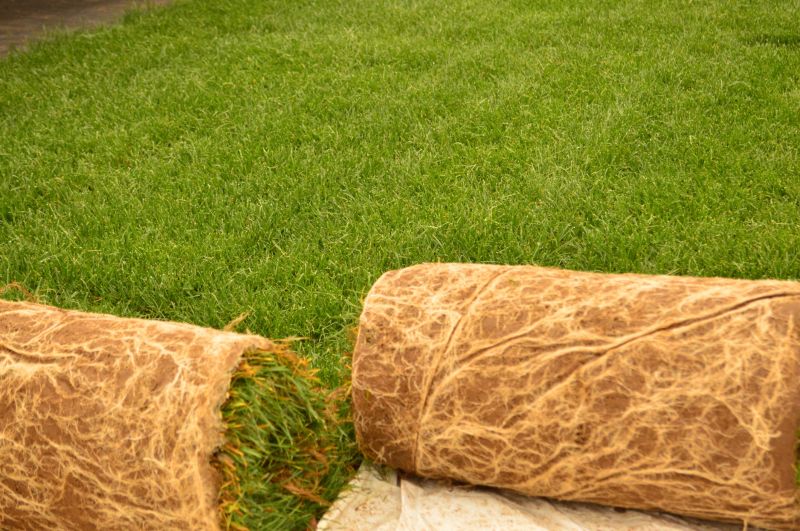Bluegrass Sod Installation