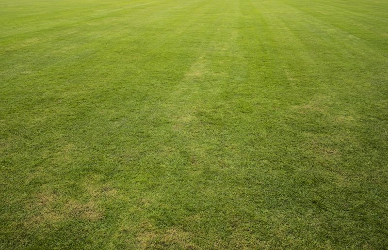Centipede Sod Installation