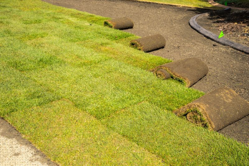 Commercial Sod Installation