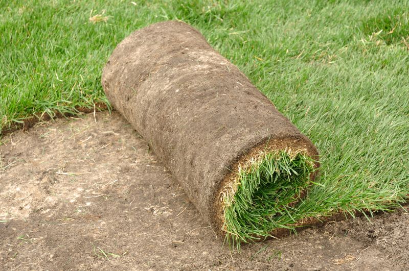 Commercial Sod Installation detail