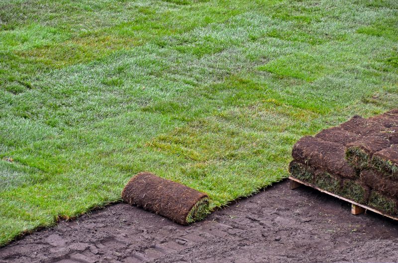 Commercial Sod Installation detail