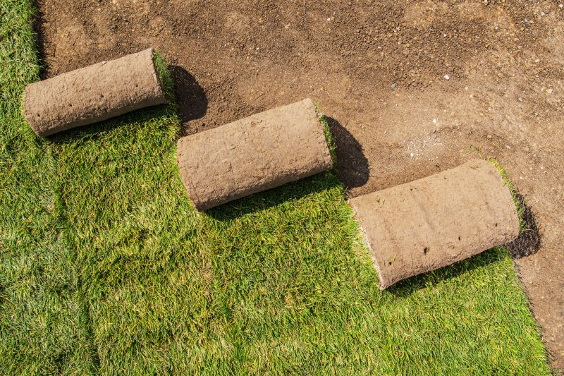 Commercial Sod Installation detail