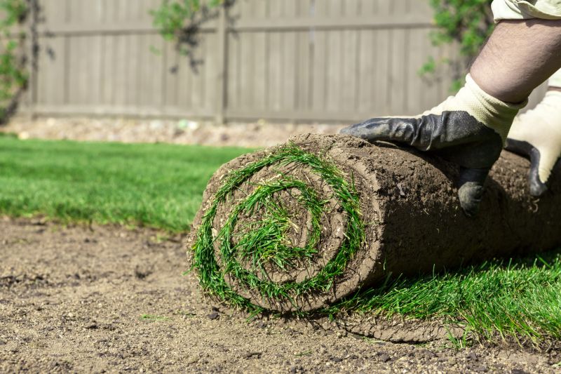Sod Installation detail
