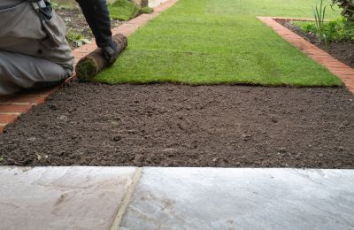 Sod Landscaping detail