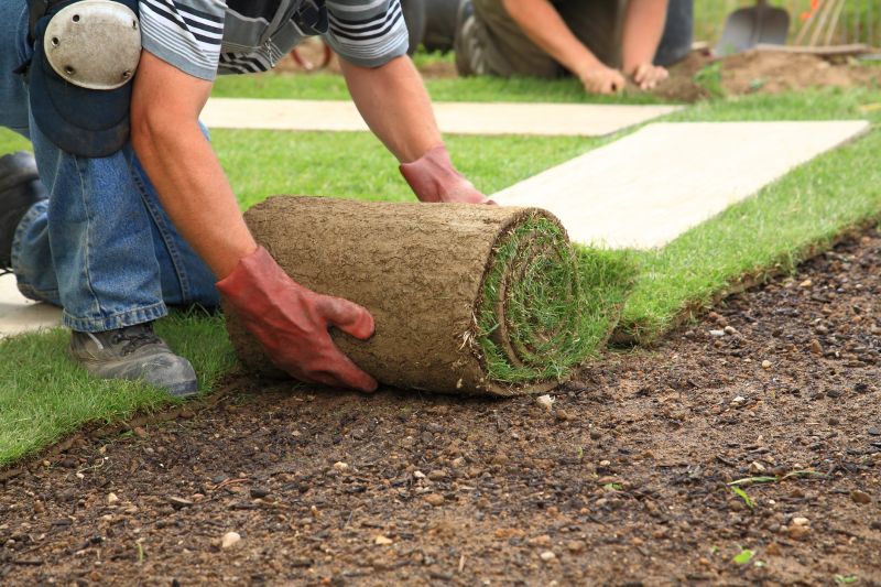 Sod Landscaping detail