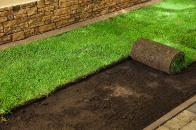 Sod Landscaping detail