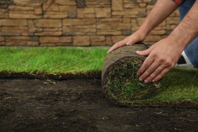 Sod Landscaping detail