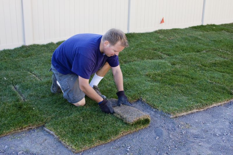 Sod Landscaping detail