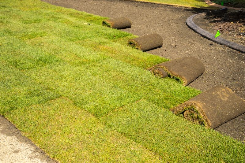 New Lawn Sod Installation