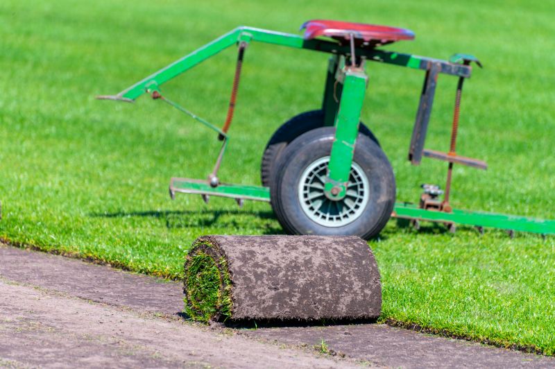 Ryegrass Sod Installation