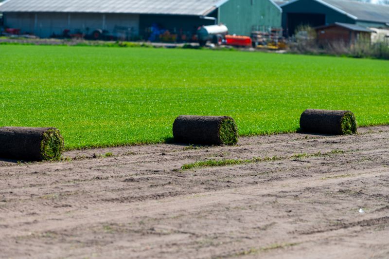 Ryegrass Sod Installation