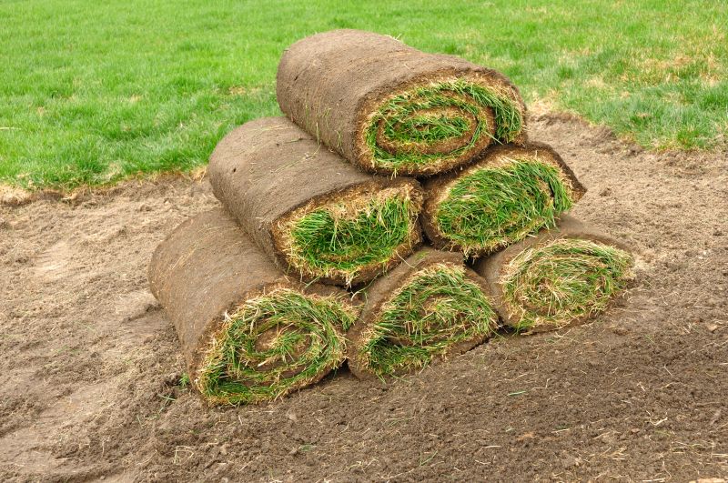 Sod Grass Installation