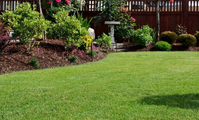 Long-term lawn health