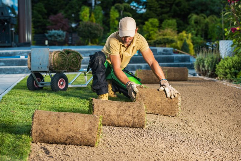Yard Grass Installation