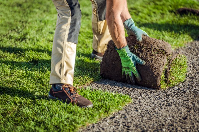 Yard Sod Installation
