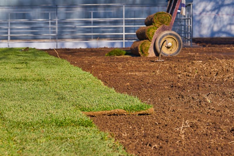 Yard Sod Installation