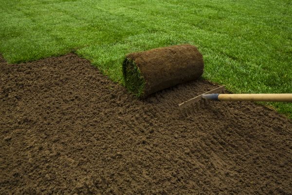 Lawn Installation in Acworth