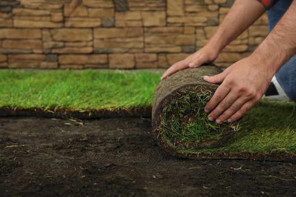 Lawn Replacement in Acworth
