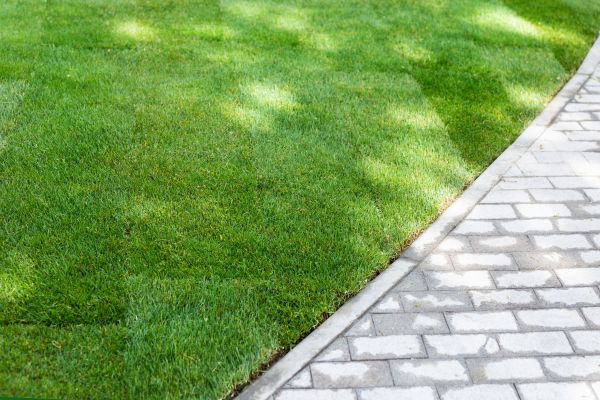 New Lawn Installation in Acworth