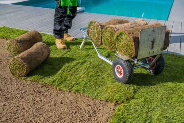 Centipede Sod Installation in Acworth