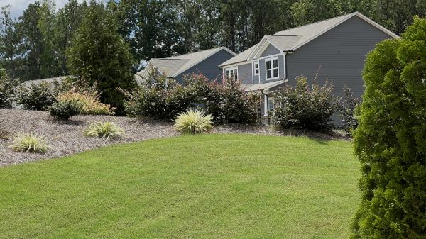 Bermuda Grass Installation in Acworth
