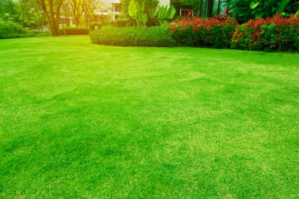 Yard Grass Installation in Acworth