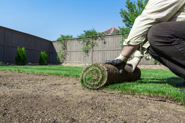 Residential Sod Installation in Acworth