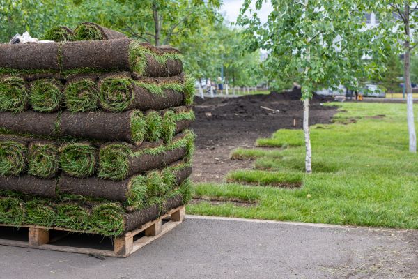New Grass Installation in Acworth