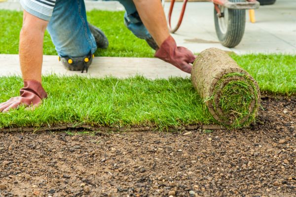 Bahia Sod Replacement in Acworth