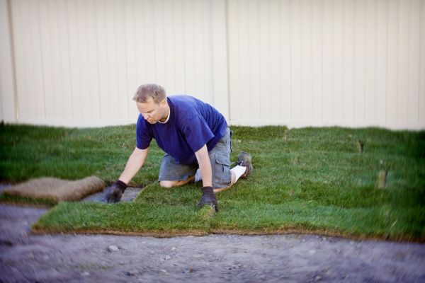 Sod Patching in Acworth