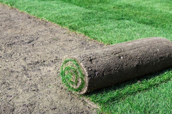 Commercial Sod Installation in Acworth